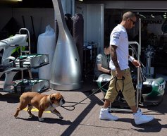 Watson: Mercedes should ban Hamilton's dog