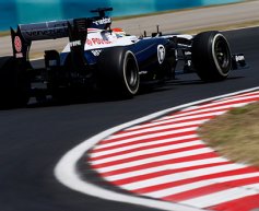 Williams has 'healthy budget' for 2014